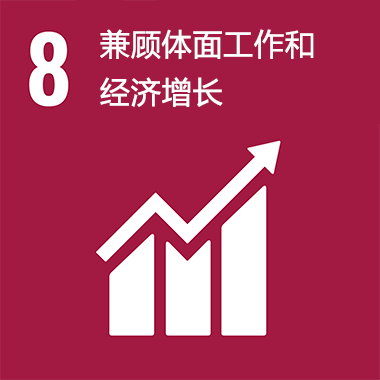 SDGs No.8 兼顾体面工作和经济增长